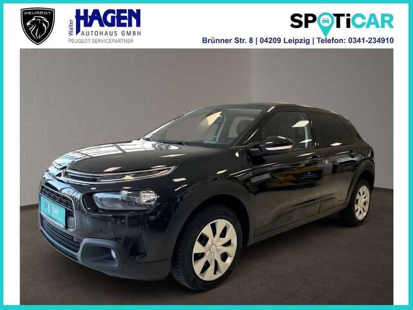 C4 Cactus