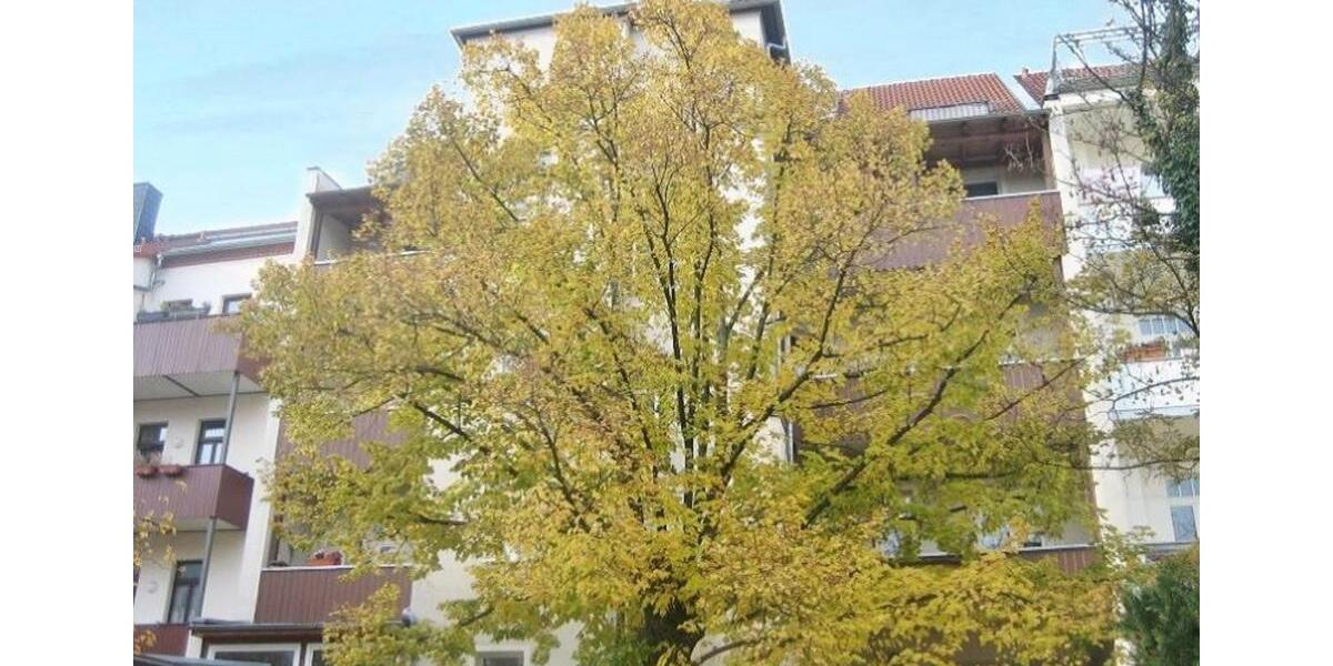 Hochparterre Leipzig Nord - 3 Zimmer, 78 m&sup2;, 663&euro; | Angebot:25349228