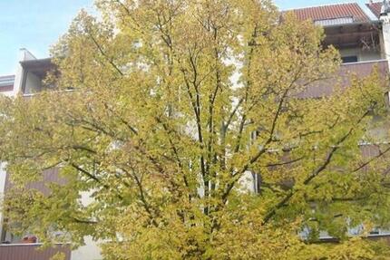 Wohnung Leipzig Nord - 3 Zimmer, 78 m&sup2;, 663&euro; | Angebot:25349228