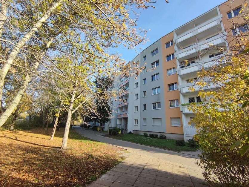 Wohnung zum Mieten in Halle (Saale) 297 € 56.98 m²