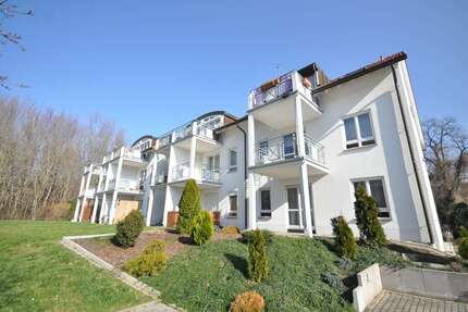 Wohnung Delitzsch OT Döbernitz Döbernitz - 1 Zimmer, 34 m&sup2;, 240&euro; | Angebot:27644464