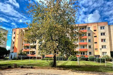 Wohnung Eilenburg - 2 Zimmer, 47 m&sup2;, 321&euro; | Angebot:22398765