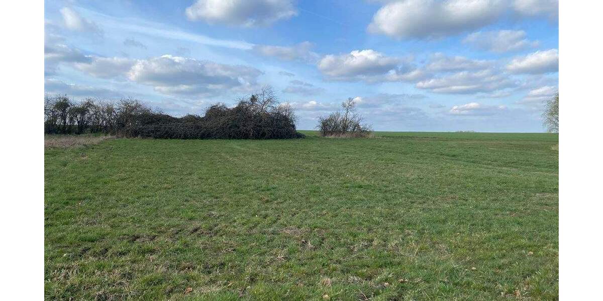 Grundstück Wurzen Kornhain - 45.000&euro; | Angebot:25687471