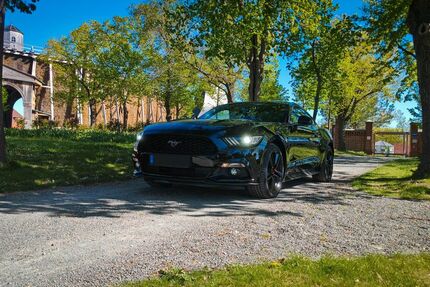 Ford Mustang 105.000 km 24.500 &euro; Bad Dürrenberg 06231