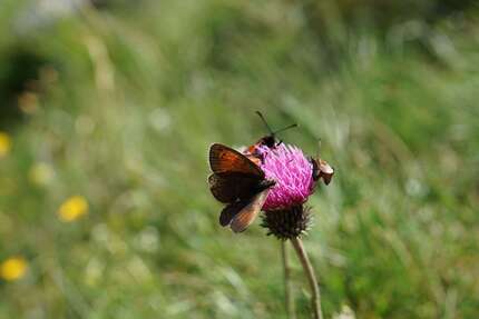 Grundstück Markkleeberg - 860.000&euro; | Angebot:24705173