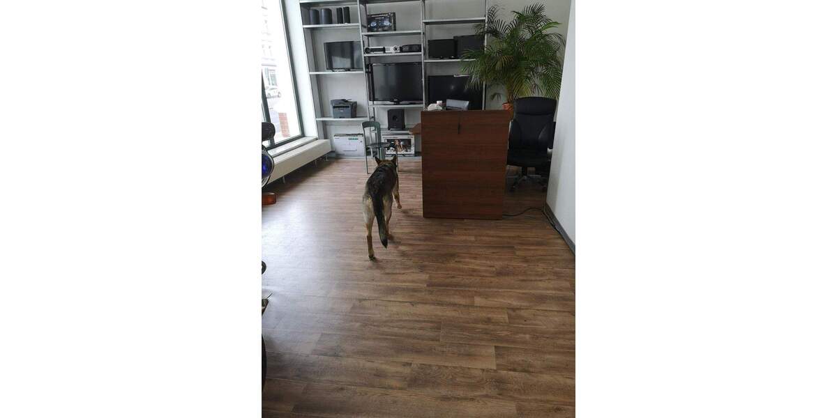 Gewerbeobjekt Leipzig Gohlis-Süd - 4 Zimmer, 1.280&euro; | Angebot:25916720