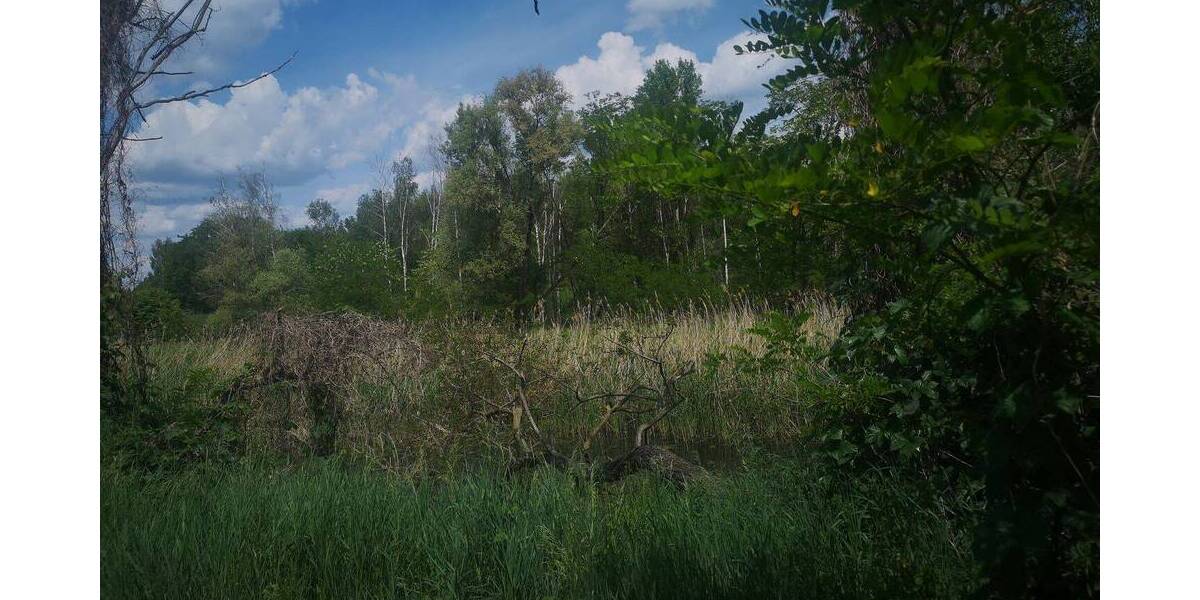 Grundstück Eilenburg - 2.999.000&euro; | Angebot:22496936