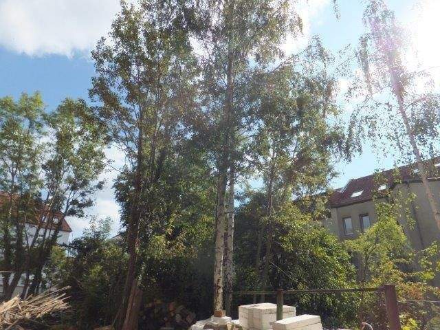 Etagenwohnung Leipzig Wahren - 2 Zimmer, 45 m&sup2;, 470&euro; | Angebot:25834401