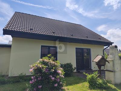 WOHNEN IM GRÜNEN - FREIRAUM FÜR DIE GANZE FAMILIE - Einfamilienhaus Grimma | Angebot:26795043