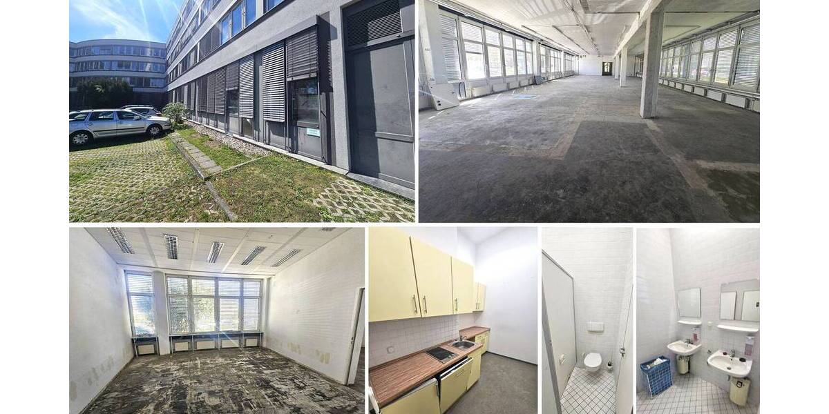 Gewerbeobjekt Leipzig Schönefeld-Abtnaundorf - 1 Zimmer, 799 m&sup2;, 6.795&euro; | Angebot:26439515