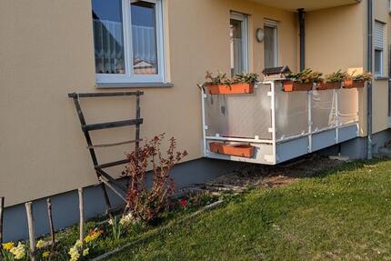 Wohnung Grimma - 3 Zimmer, 82 m&sup2;, 1.006&euro; | Angebot:26103977