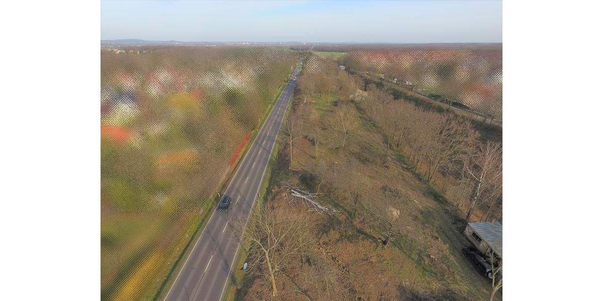 Grundstück Machern - 185.000&euro; | Angebot:25738685