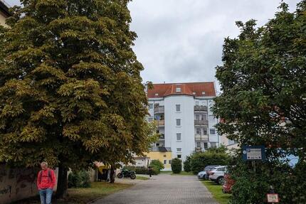 Frei ab 1.Mai: helle 3 Zi-Whg. mit Süd-West-Balkon + Kfz-St.platz 3 zimmer