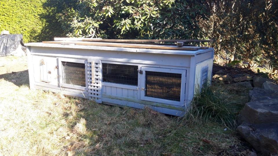 Bungalow Brandis Kleinsteinberg - 2 Zimmer, 36 m&sup2;, 55.000&euro; | Angebot:25377657