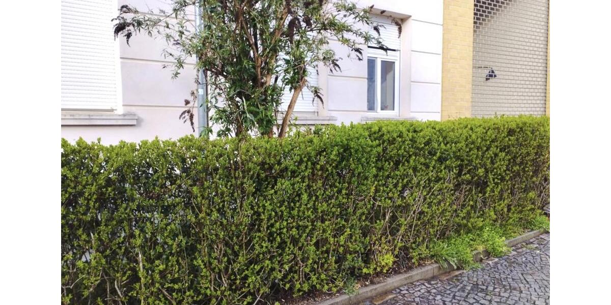 Erdgeschoßwohnung Leipzig Nordwest - 2 Zimmer, 56 m&sup2;, 119.000&euro; | Angebot:27098954