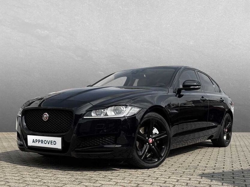 XF