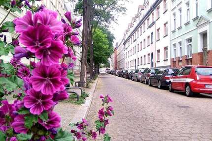 Wohnung zum Mieten in Halle 428 € 57 m²