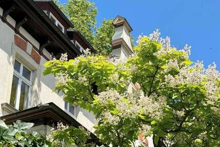 Haus Leipzig Mitte - 17 Zimmer, 504 m&sup2;, 2.895.000&euro; | Angebot:25371538