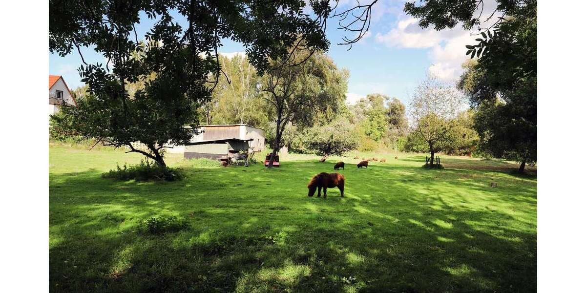 Ihr Leipziger Stadthaus - urbanes Lebensgefühl an der Parthe in Leipzig-Thekla 5 zimmer