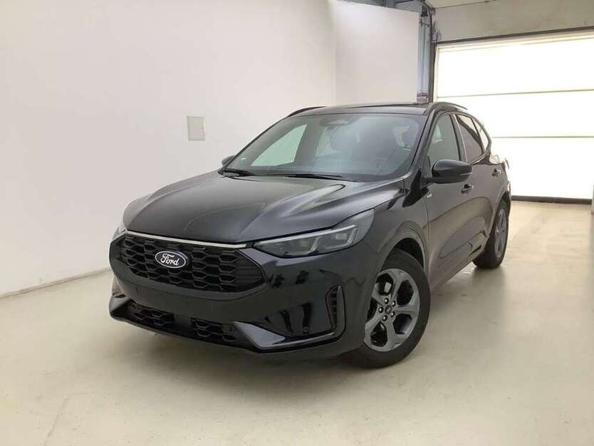 Kuga