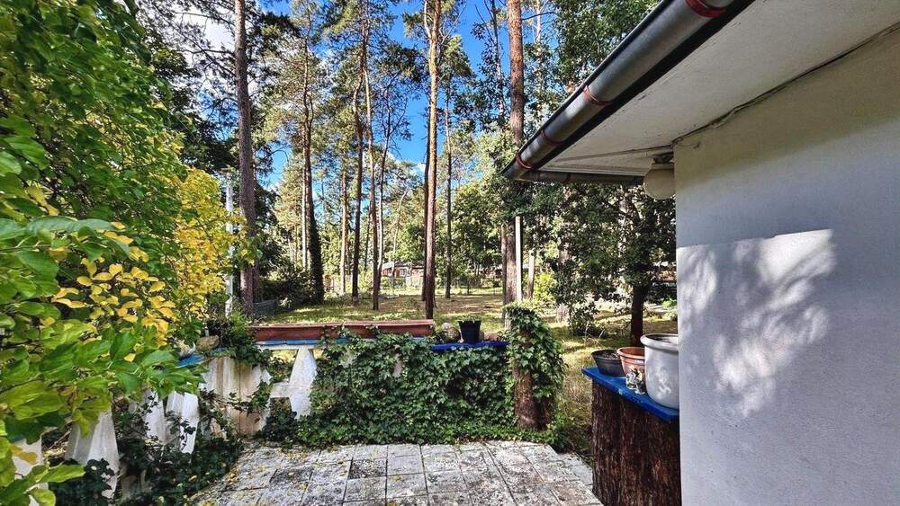 Mehrfamilienhaus, Wohnhaus Zschepplin Glaucha - 4 Zimmer, 45 m&sup2;, 54.000&euro; | Angebot:25677339