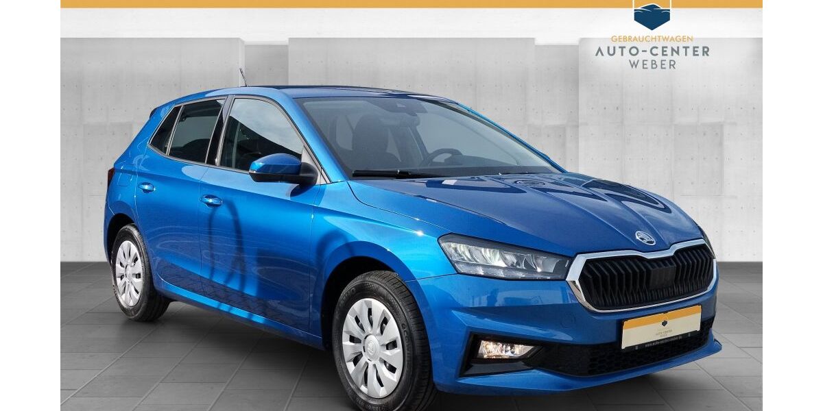 Skoda Fabia 7.691 km 16.880 &euro; Taucha 04425
