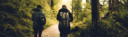 Wandern und Natur im Harz