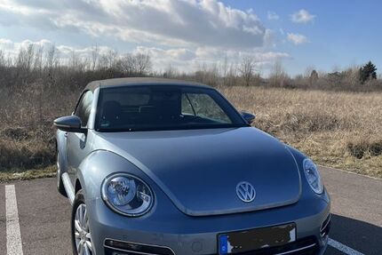 VW Beetle