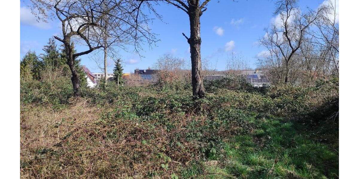 Grundstück Machern - 185.000&euro; | Angebot:25738685