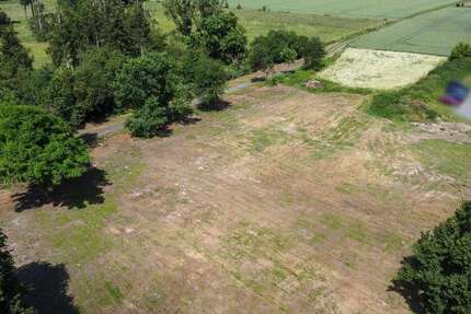 Grundstück zu verkaufen in Taucha 380.000 € 1292 m²