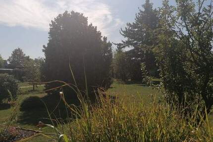 Großzügiges Grundstück in Seenähe für die Verwirklichung Ihres Wohntraums zimmer