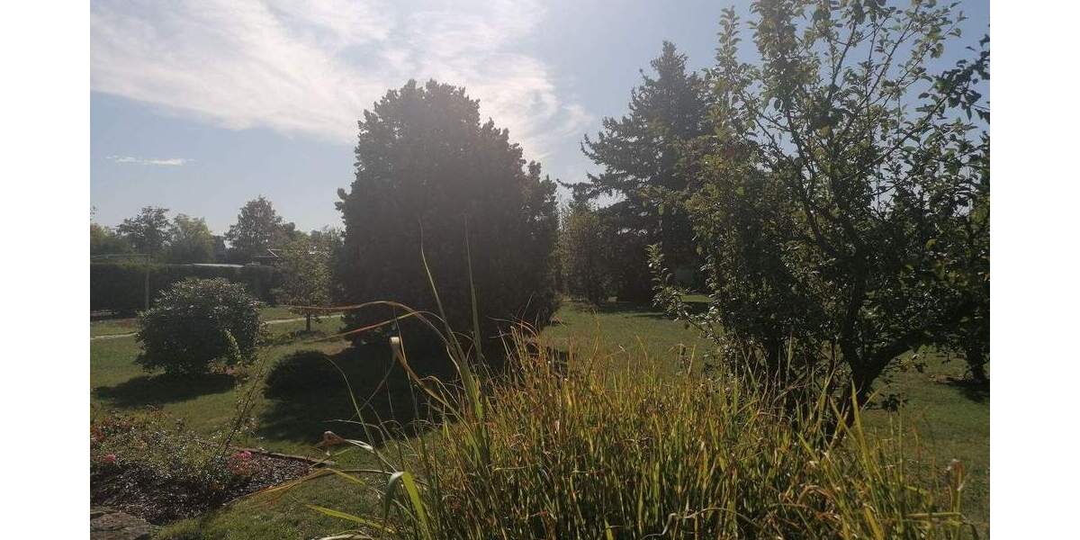 Großzügiges Grundstück in Seenähe für die Verwirklichung Ihres Wohntraums zimmer