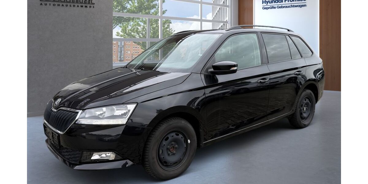 Skoda Fabia 49.000 km 13.290 &euro; Eilenburg 04838