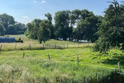 Wohnung Grimma - 4 Zimmer, 79 m&sup2;, 690&euro; | Angebot:24837703