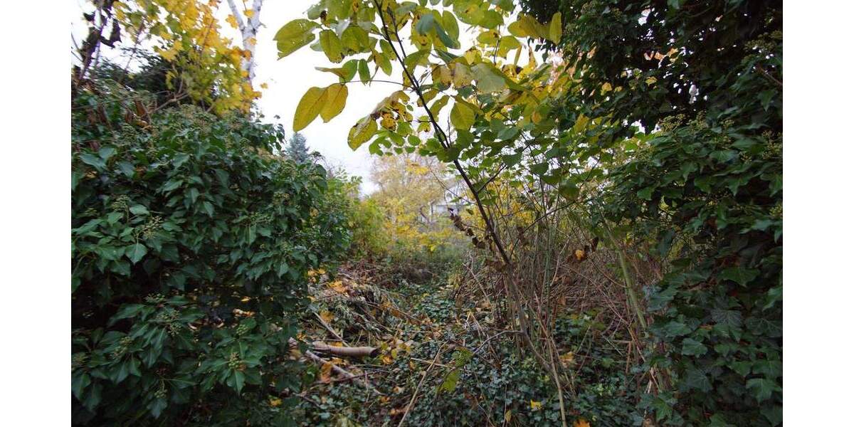 Einfamilienhaus Leipzig Seehausen - 5 Zimmer, 135 m&sup2;, 290.000&euro; | Angebot:25736587