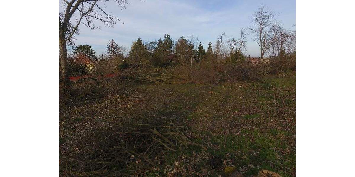 Grundstück Machern - 185.000&euro; | Angebot:25738685