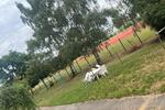 Etagenwohnung Hohenmölsen - 3 Zimmer, 60 m&sup2;, 280&euro; | Angebot:25991449