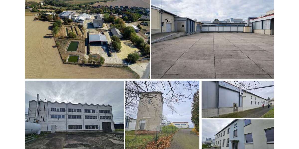 Gewerbeobjekt Grimma - 1.900.000&euro; | Angebot:26390081