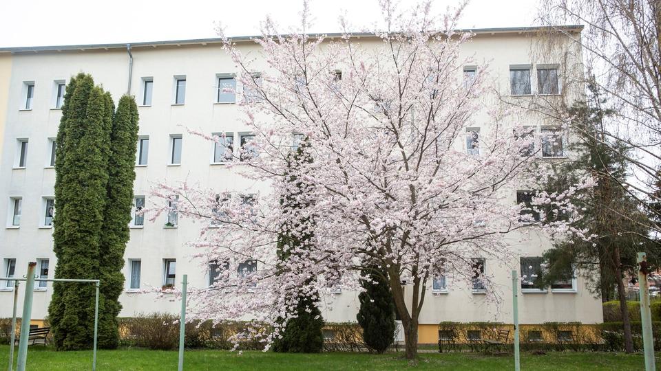 Etagenwohnung Hohenmölsen - 3 Zimmer, 60 m&sup2;, 392&euro; | Angebot:26423866