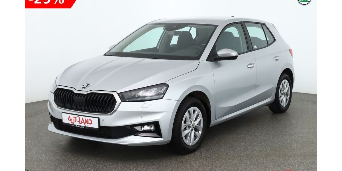 Skoda Fabia 24.157 km 19.890 &euro; Brehna 06796