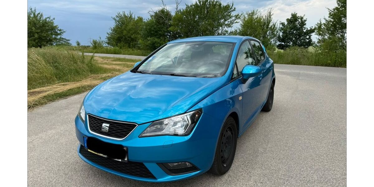 Seat Ibiza 169.500 km 3.700 &euro; Kossa 04849