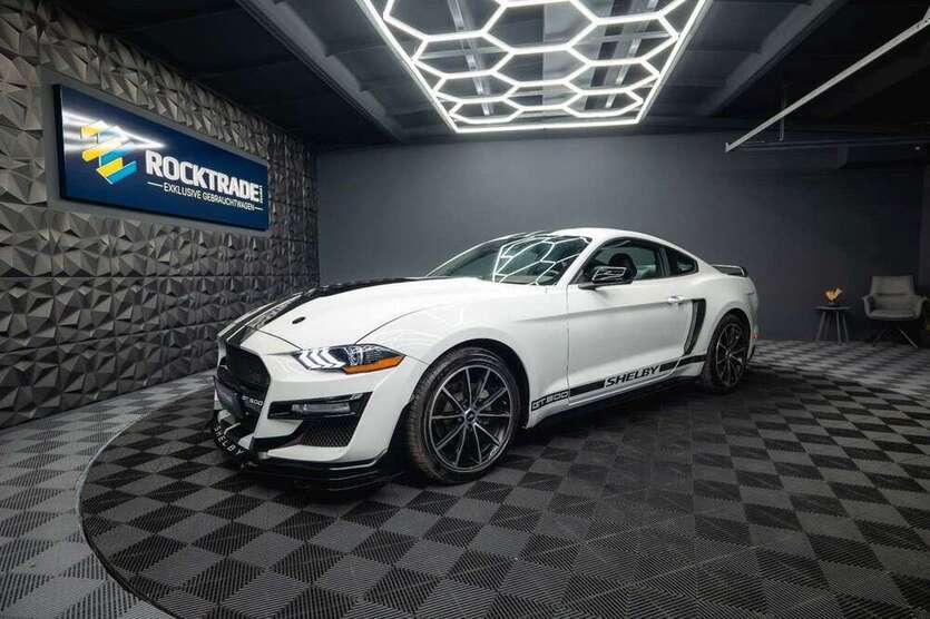 Mustang