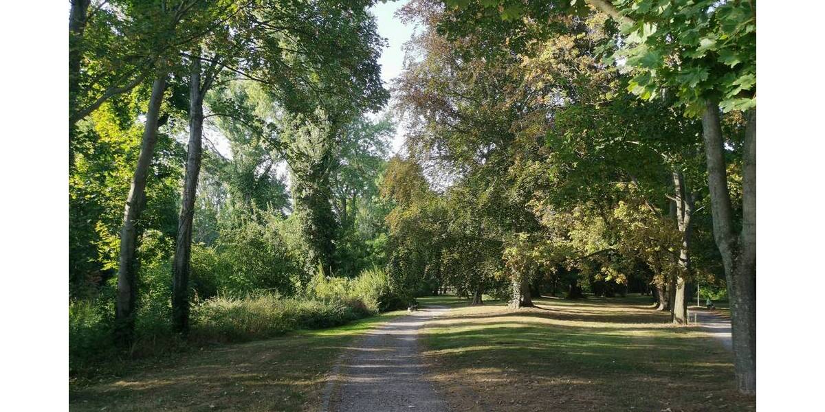 Wunderschöne 3RW | Balkon | Am Stadtpark | ruhige & zentrumsnahe Lage 3 zimmer