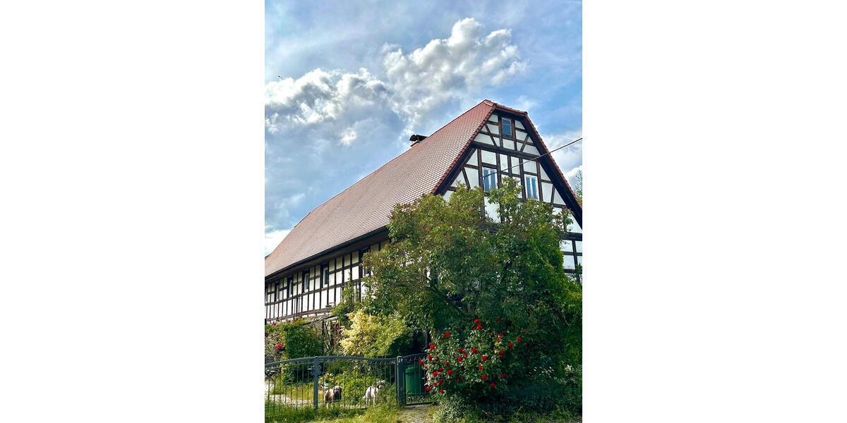 Einfamilienhaus Grimma - 9 Zimmer, 202 m&sup2;, 239.000&euro; | Angebot:26610780
