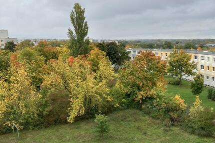 6 Zimmerwohnung mit 2 Balkonen zimmer