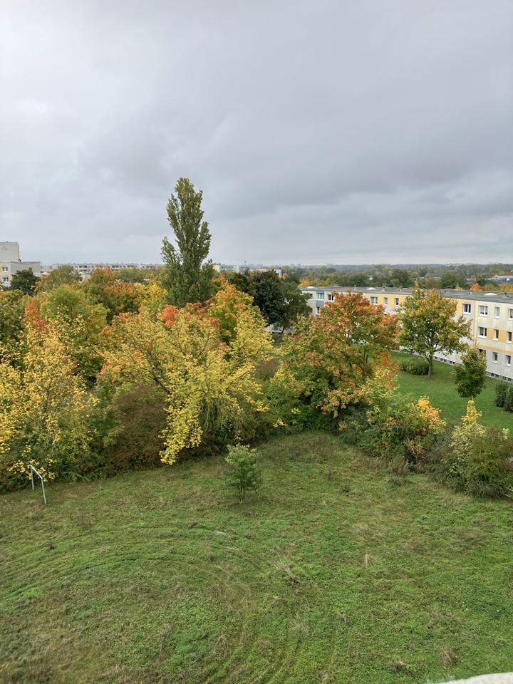 6 Zimmerwohnung mit 2 Balkonen zimmer