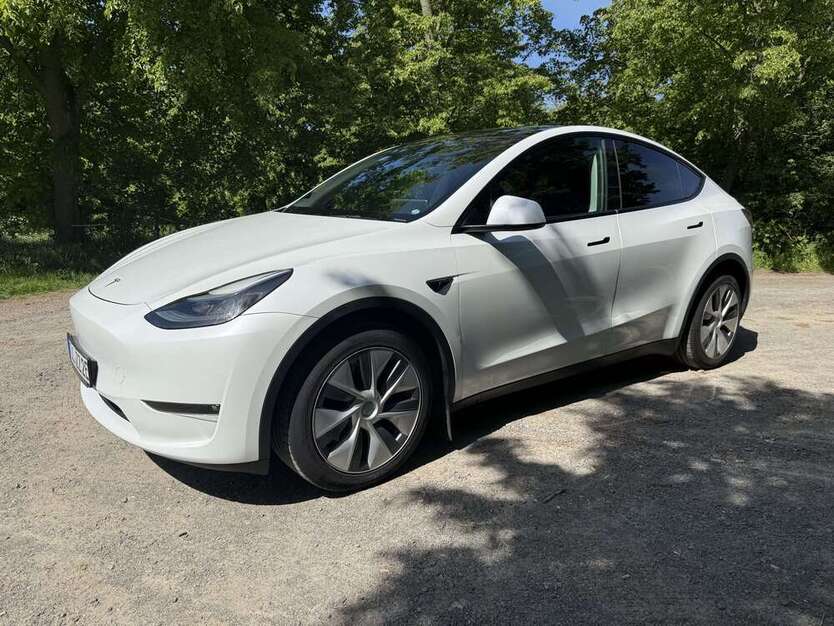 Model Y