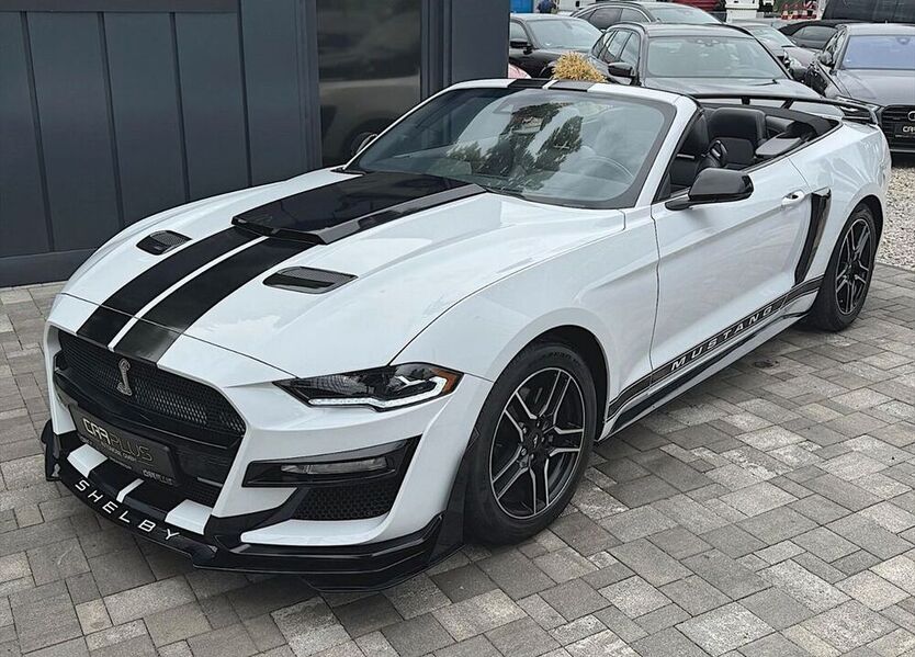 Mustang