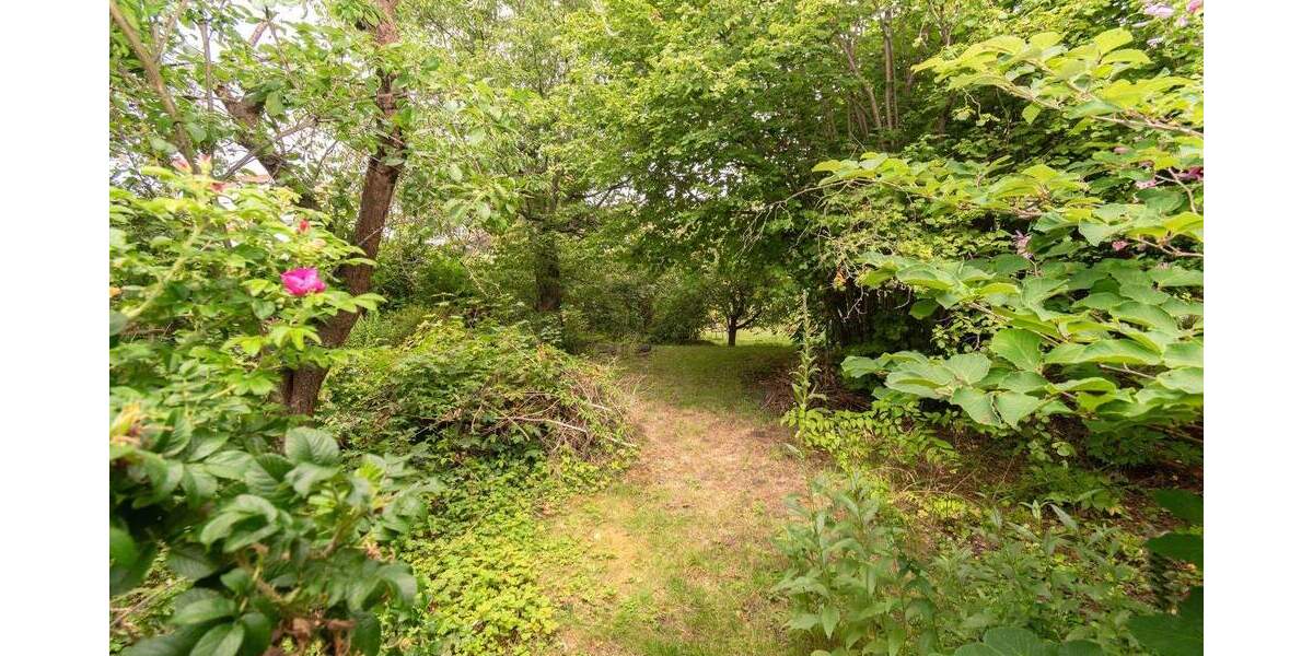 Gewerbeobjekt Borna - 1 Zimmer, 198.000&euro; | Angebot:25684308