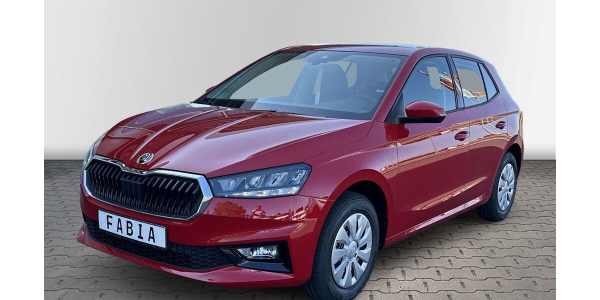 Skoda Fabia 5.359 km 17.290 &euro; Wurzen 04808